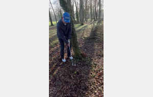 Patrick autour des arbres